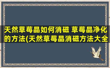 天然草莓晶如何消磁 草莓晶净化的方法(天然草莓晶消磁方法大全，草莓晶净化的小妙招分享)